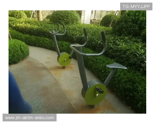 如何有效利用室外健身器材进行全身锻炼